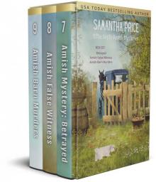 Ettie Smith Amish Mysteries Box Set 3