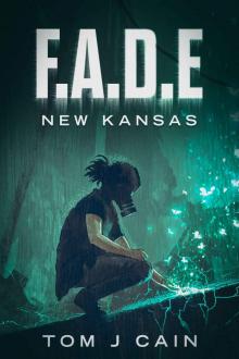 F A D E- New Kansas