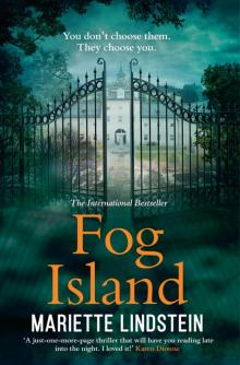 Fog Island