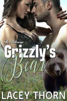 Grizzly's Bear (The Holloways Book 5)