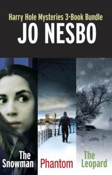 Harry Hole Mysteries 3-Book Bundle