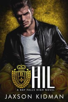 HIL: a bay falls high novel