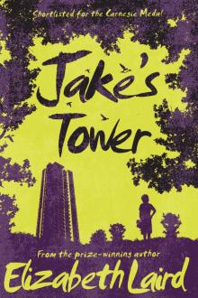 Jake's Tower