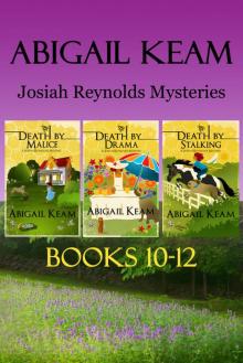 Josiah Reynolds Box Set 4