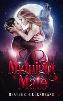 Midnight Mate: A Paranormal Romance Standalone