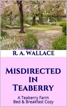 Misdirected in Teaberry