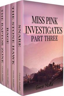 Miss Pink Investigates 3