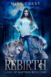 Rebirth: Land of Shifters Book 1