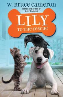 Rescue 01 - Lily to the Rescue