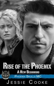 Rise of the Phoenix: Phoenix Skulls Motorcycle Club: (Phoenix Skulls MC Romance Book 1)