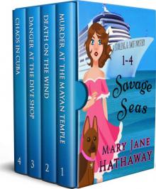 Savage Seas: Christian Cozy Mysteries 1-4 (Starling and Swift)