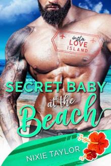 Secret Baby at the Beach