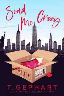 Send Me Crazy (Hot in the City Book 1)