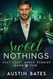 Sweet Nothings (East Coast Sugar Daddies Book 5)