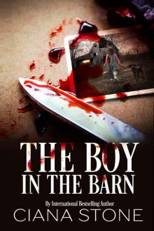 The Boy in the Barn