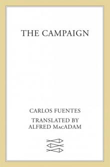 The Campaign