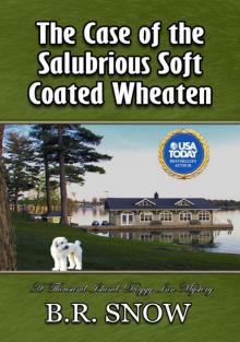 The Case of the Salubrious Soft Coated Wheaten