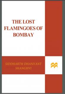 The Lost Flamingoes of Bombay