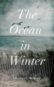 The Ocean in Winter