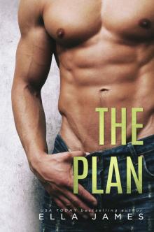 The Plan: A Standalone Off-Limits Romance