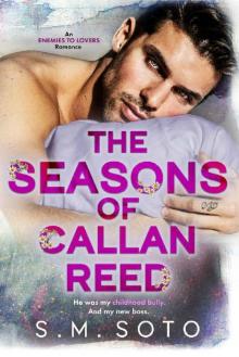 The Seasons of Callan Reed: An Enemies-to-Lovers Office Romance