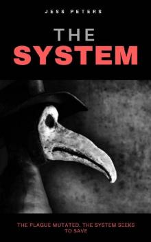 The System (The Bubo Series Book 1)