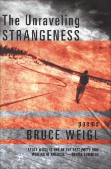 The Unraveling Strangeness