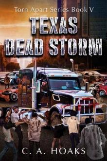 Torn Apart Series | Book 5 | Texas Dead Storm