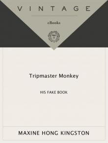 Tripmaster Monkey: His Fake Book