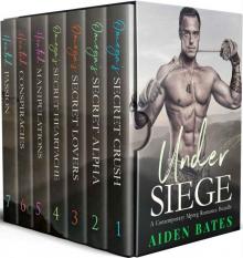 Under Siege: A Contemporary Mpreg Romance Bundle (Omega's Under Siege)