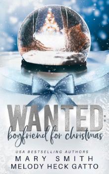 Wanted: Boyfriend for Christmas (The Holiday Series Book 1)