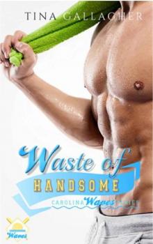 Waste of Handsome (Carolina Waves #2)