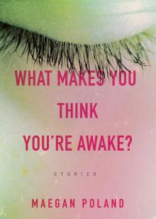 What Makes You Think You're Awake?