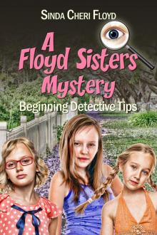 Beginning Detective Tips, A Floyd Sisters Mystery