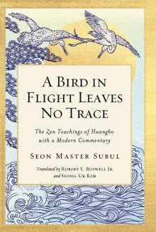 A Bird in Flight Leaves No Trace