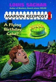 A Flying Birthday Cake?