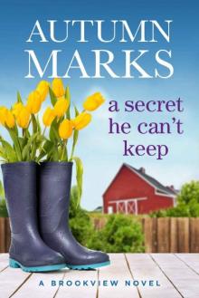 A Secret He Can't Keep: A Small Town Opposites Attract Romance (Brookview, Ohio Book 2)