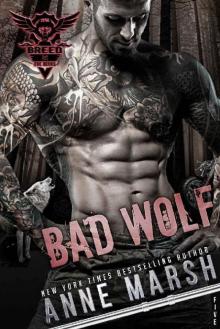 Bad Wolf (A Breed MC Book Book 5)