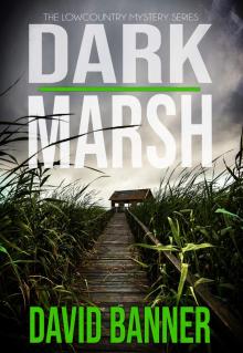 Dark Marsh