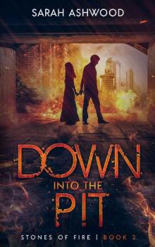 Down into the Pit (Stones of Fire Book 2)