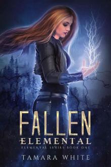 Fallen Elemental (Elemental Series Book 1)