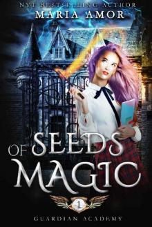 Guardian Academy 1: Seeds Of Magic (The Mystery Of The Four Corners)