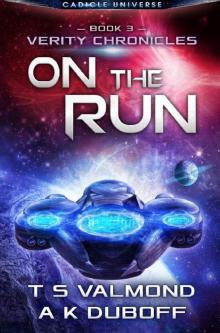 On the Run (Verity Chronicles Book 3): A Cadicle Space Opera Adventure