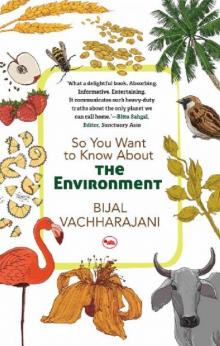 So You Want to Know About the Environment