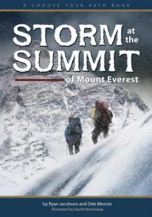 Storm at the Summit of Mount Everest