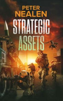 Strategic Assets (Maelstrom Rising Book 4)
