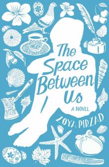 The Space Between Us