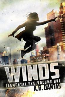 WINDS (The Elemental Eye Book 1)