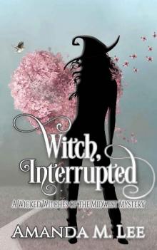 Witch, Interrupted