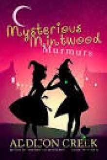 Witch of Mintwood Mysteries Box Set 4
